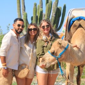 Camellos en Los Cabos