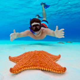 El Cielo Catamarán y Jimny Adventure