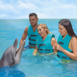 Delfines en Cancún