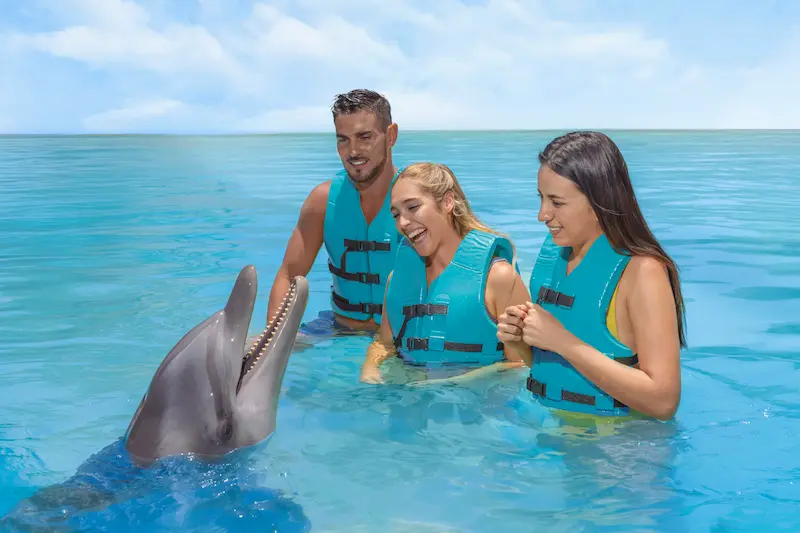 Delfines en Cancún